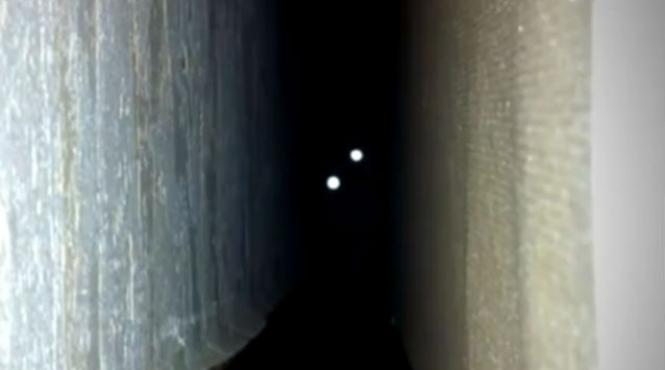 video pisica din iad daca te sperii usor nu te uita la acest clip