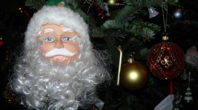 traditia bradului de craciun