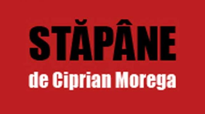 stapane o poezie de ciprian morega