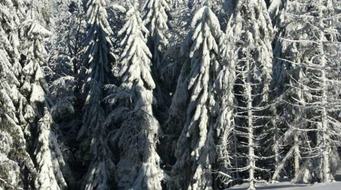 maramures deschis pentru schi