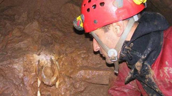 omul zilei tudor rus