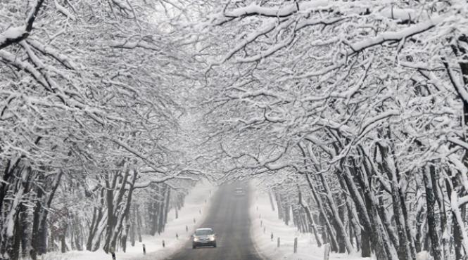 ministrul agriculturii putem pune cate coduri galbene si rosii vrem fara perdele forestiere de protectie vor mai muri oameni in omat