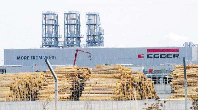 ciobanescul carpatin politic pradatorul turmei