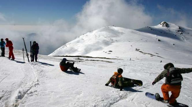 furnica este alba se deschide carpul
