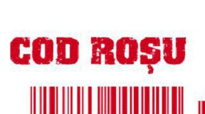 cod rosu 10 februarie 2010