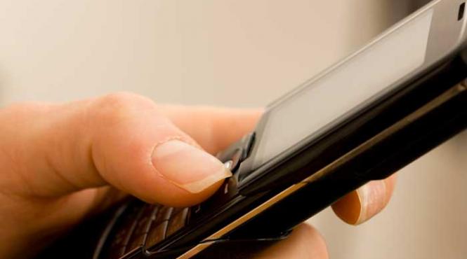 ong urile cer deputatilor sa respinga legea big brother