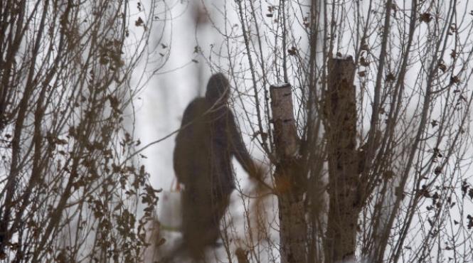 presedintele consiliului judetean vrancea a instituit situatie de urgenta in zona