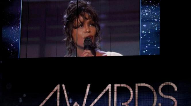 whitney a murit din cauza amestecului de xanax si alcool