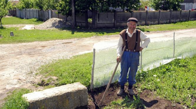 wirtschaftsblatt romania potential mare dar si obstacole