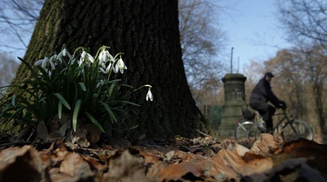 vom avea o primavara rece si uscata vremea in urmatoarele trei luni