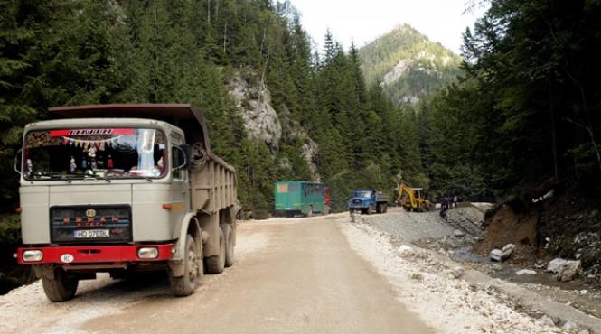 solovastru o contrazice pe cristina traila romsilva nu are 800 de ocoale silvice ci doar 327