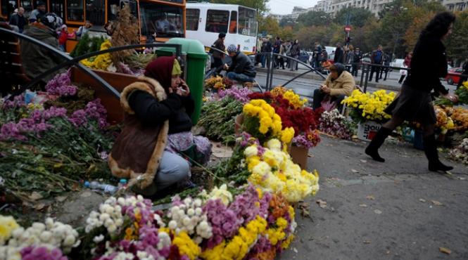 peste 80 000 de fire de flori confiscate in urma unei razii in piata george cosbuc din capitala