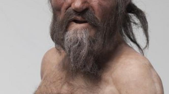 indicii noi in cel mai vechi caz de crima din lume suferind de boala lyme s a luptat cu patru insi a pierit ciuruit de sageti