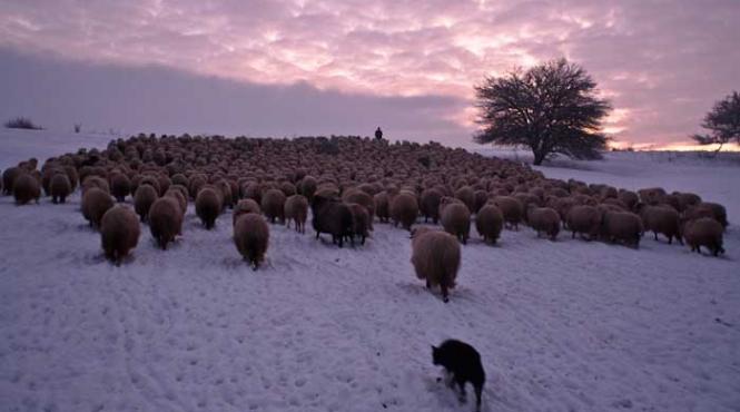 cum dispare un mod de viata