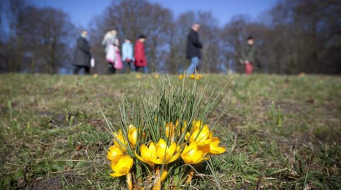 saptamana viitoare vine cu temperaturi de peste 14 grade vezi prognoza meteo pentru intervalul 9 23 martie