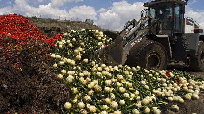 jumatate din alimentele sanatoase din ue sunt aruncate britanicii vor sa forteze magazinele sa dea surplusul de alimente saracilor