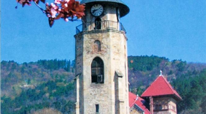 o noua runda in campania electorala a lui pinalti cu felicitari puse in cutia postala