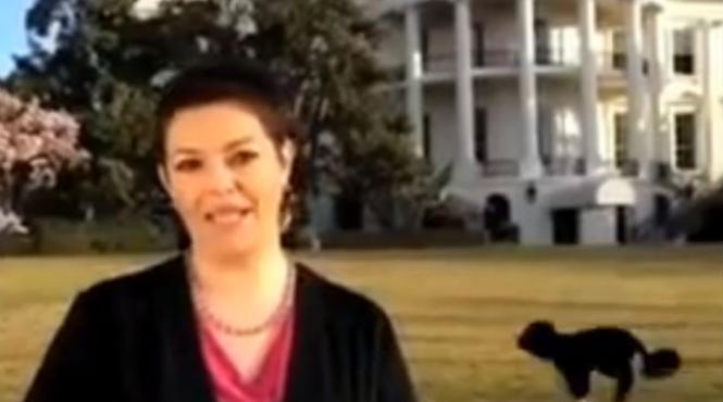 video cainele lui obama vrea sa apara neaparat la televizor bo a intrat in direct la o televiziune spaniola