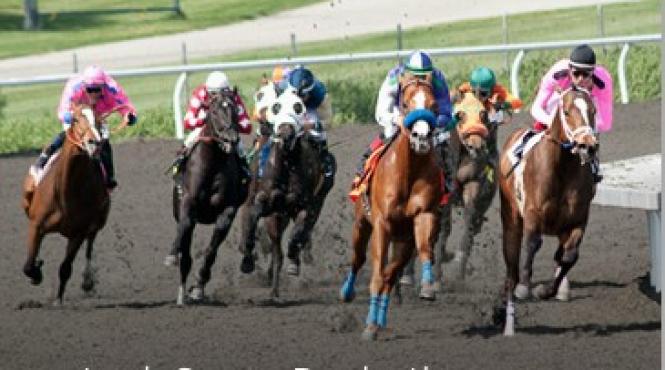 serialul norocul a avut ghinion hbo a renuntat la el dupa ce trei cai au murit in timpul productiei