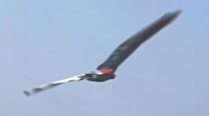 video primul om care zboara ca o pasare