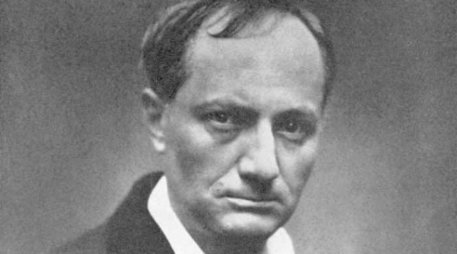 cazuri celebre florile raului ultraj la morala publica