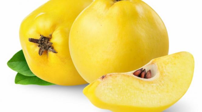 gutuia fructul dragostei