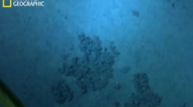 video primele imagini filmate de cameron in groapa marianelor dezolant peisaj lunar am avut impresia ca sunt pe alta planeta