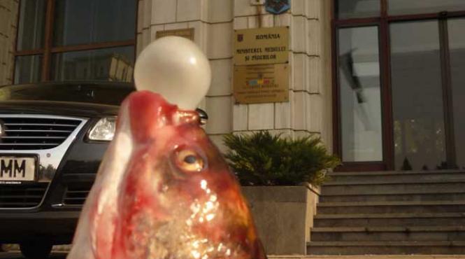 constitutia de mediu si relele bune practici