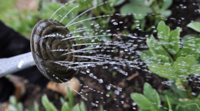 furtunurile cu apa interzise in sudul angliei