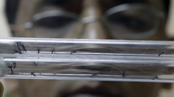 cel mai eficient medicament impotriva malariei isi pierde eficienta milioane de oameni sunt supusi unui risc mortal