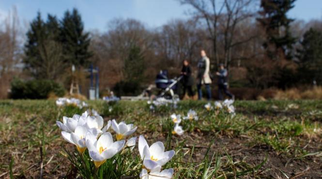 vremea va fi in incalzire treptata pana in jurul datei de 15 aprilie vezi prognoza meteo pentru 10 23 aprilie
