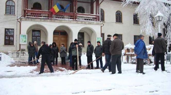o fantezie ca pe vremea lui ceausescu in suceava doctori scosi sa scuture pomii