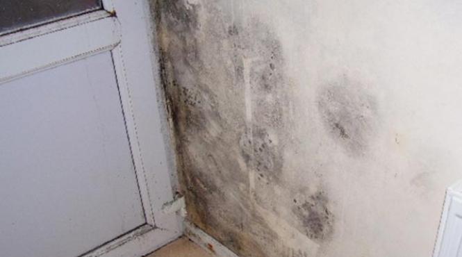 5 solutii ca sa scapi de igrasie