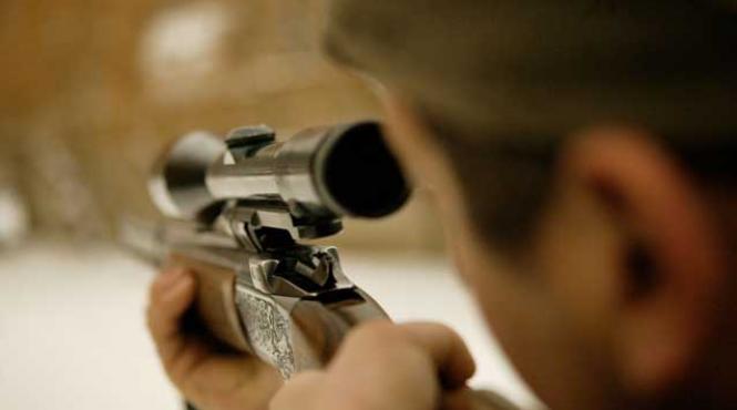 ursul brun protejat de ue vanat in romania