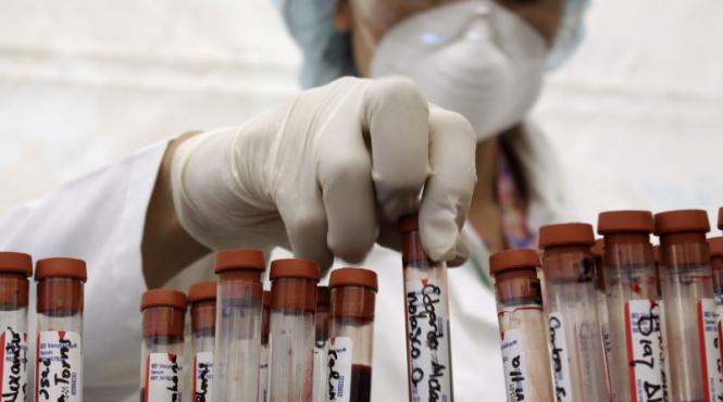 cnn ul virusologiei un site va aduna toate descoperirile in lupta contra sida pentru a tine la curent cercetatorii din intreaga lume