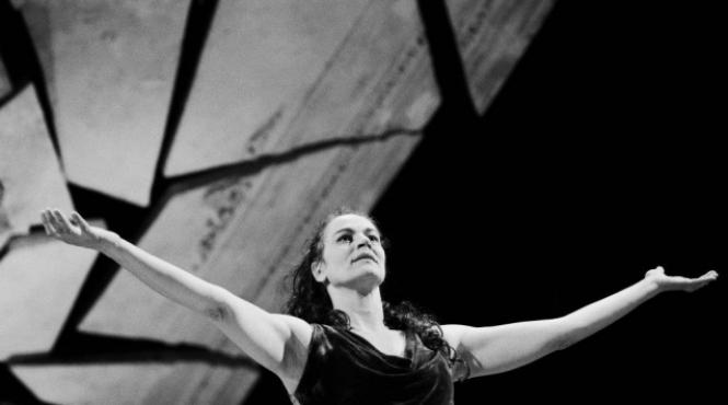 astazi e ziua ta maia morgenstern