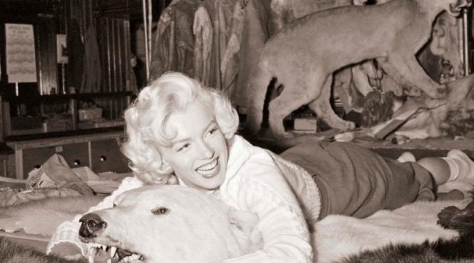 nume de cod masha marilyn monroe ar fi fost colaborator al kgb