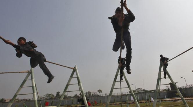 un roi de albine a pus pe fuga armata indiana 19 soldati au sfarsit la spital