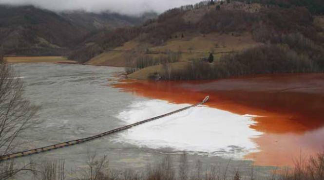bomba ecologica din inima muntilor apuseni accidente ecologice sub ochii garzii de mediu