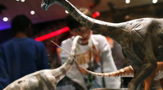 cercetatorii britanici lovesc din nou vezi de ce cred ei ca au disparut dinozaurii