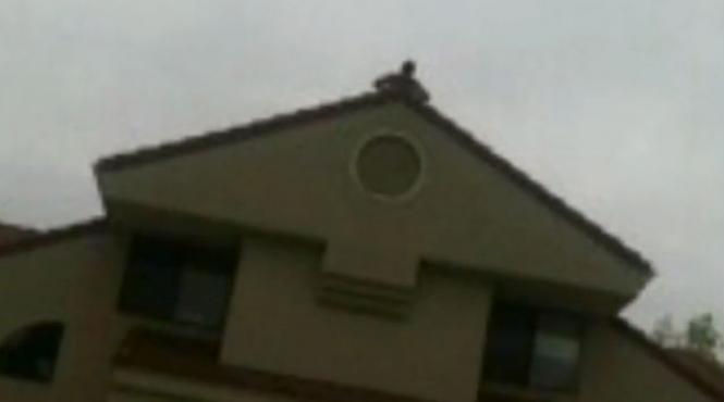 video un tanar a incercat sa si impresioneze prietenii insa a ajuns la terapie intensiva