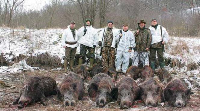 tica cel cu leafa mica un film cu ilegalitati calauza mizanscena a profesorului doctor de teatru radu nicoara