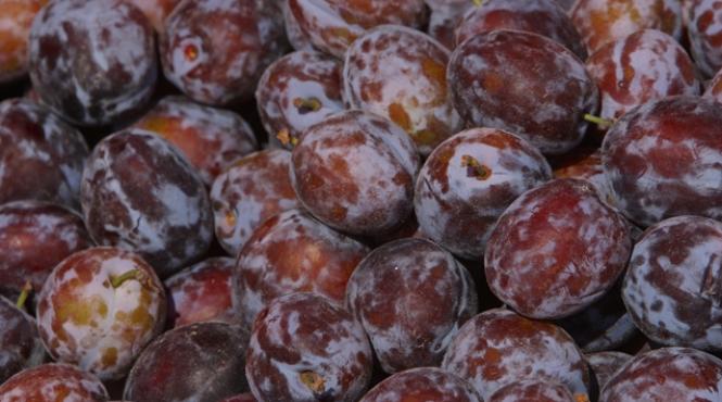 cum a dovedit uniunea europeana ca prunele nu au efect laxativ terapiile naturale inlocuite de medicamente