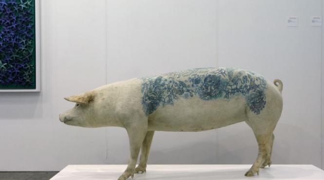 dupa caracatita paul urmeaza porcul paranormal rezultatele de la euro 2012 vor fi prezise de un porc oracol un adevarat porc ucrainean