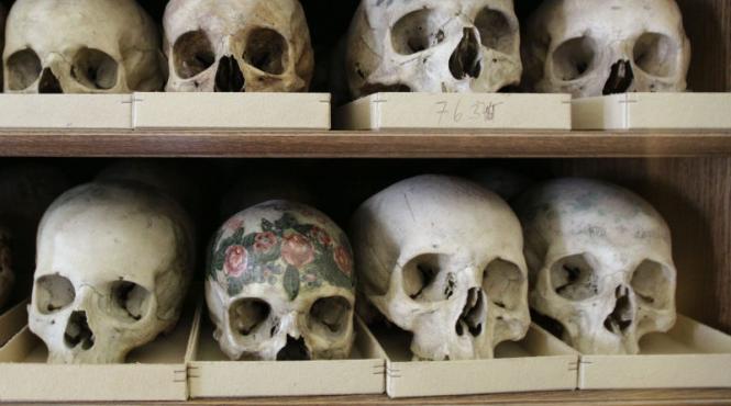 capetele americanilor albi s au marit iar fetele lor au devenit mai lungi si mai inguste in ultimii 200 de ani