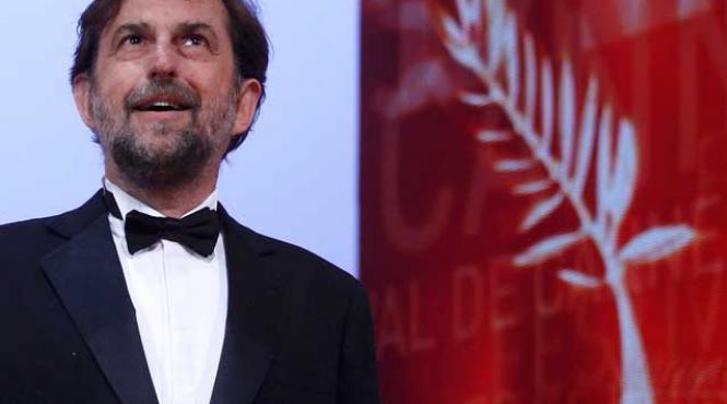 a fi sau a nu fi palmabil