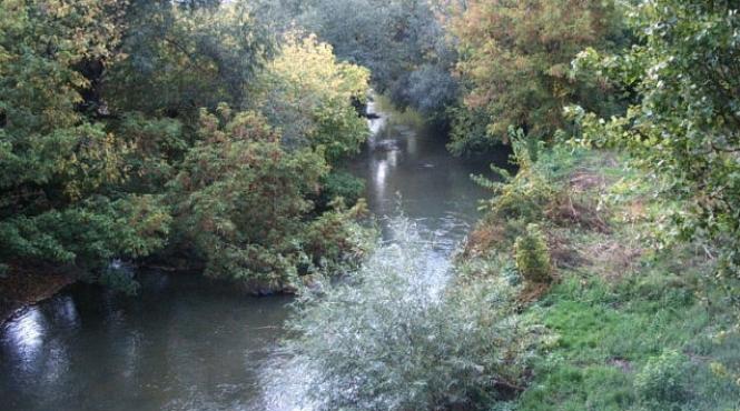 ploile torentiale au facut doua victime in judetul bacau