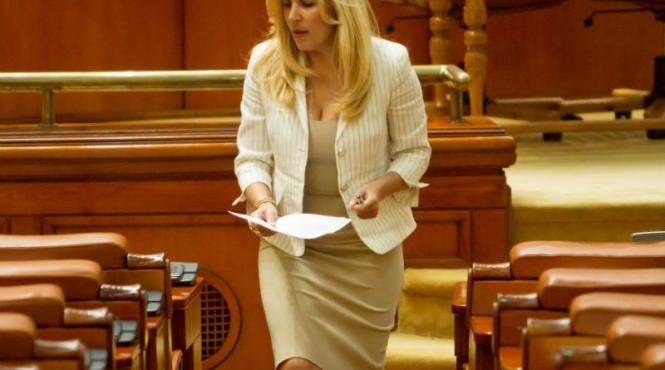 eduard hellvig cere anchetarea elenei udrea