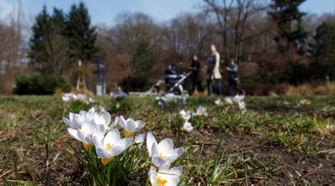 vremea se incalzeste din 6 iunie prognoza meteo pe doua saptamani