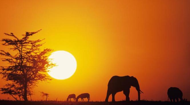 africa de sud un taram al fagaduintei pentru investitori